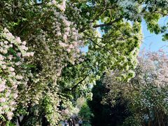 -国家植物园南园