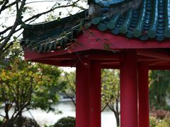 -九科绿洲