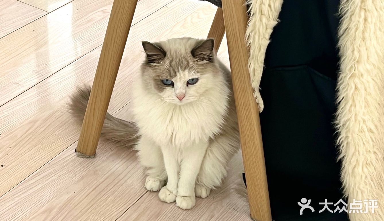 沈阳秋冬超仙实用款美甲｜欣鑫美甲 