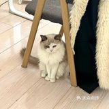 沈阳秋冬超仙实用款美甲｜欣鑫美甲 