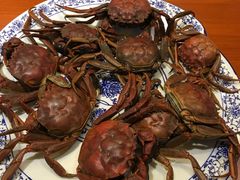 -长兴岛郊野公园农场食堂