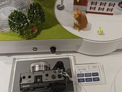 -SONY(民盈·国贸城店)