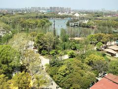 -上海野生动物园