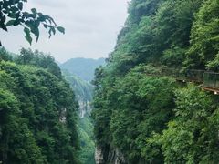 -矮寨·十八洞·德夯大峡谷景区
