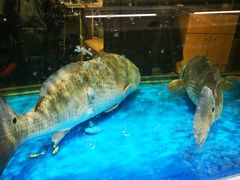 -神洲四海大酒楼(王府井澳门中心店)