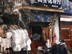 -古树酸奶(八廓南街店)