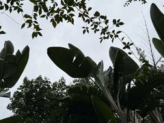 -海兰云天度假区温泉