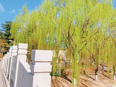 -大兴滨河森林公园