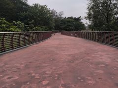 -王借岗森林公园