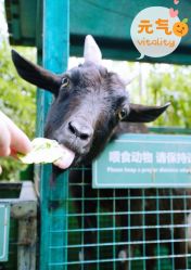 点击看大图 -可可天空农场(中大店)