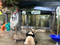 -海南热带野生动植物园