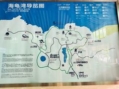 -广东惠东海龟国家级自然保护区