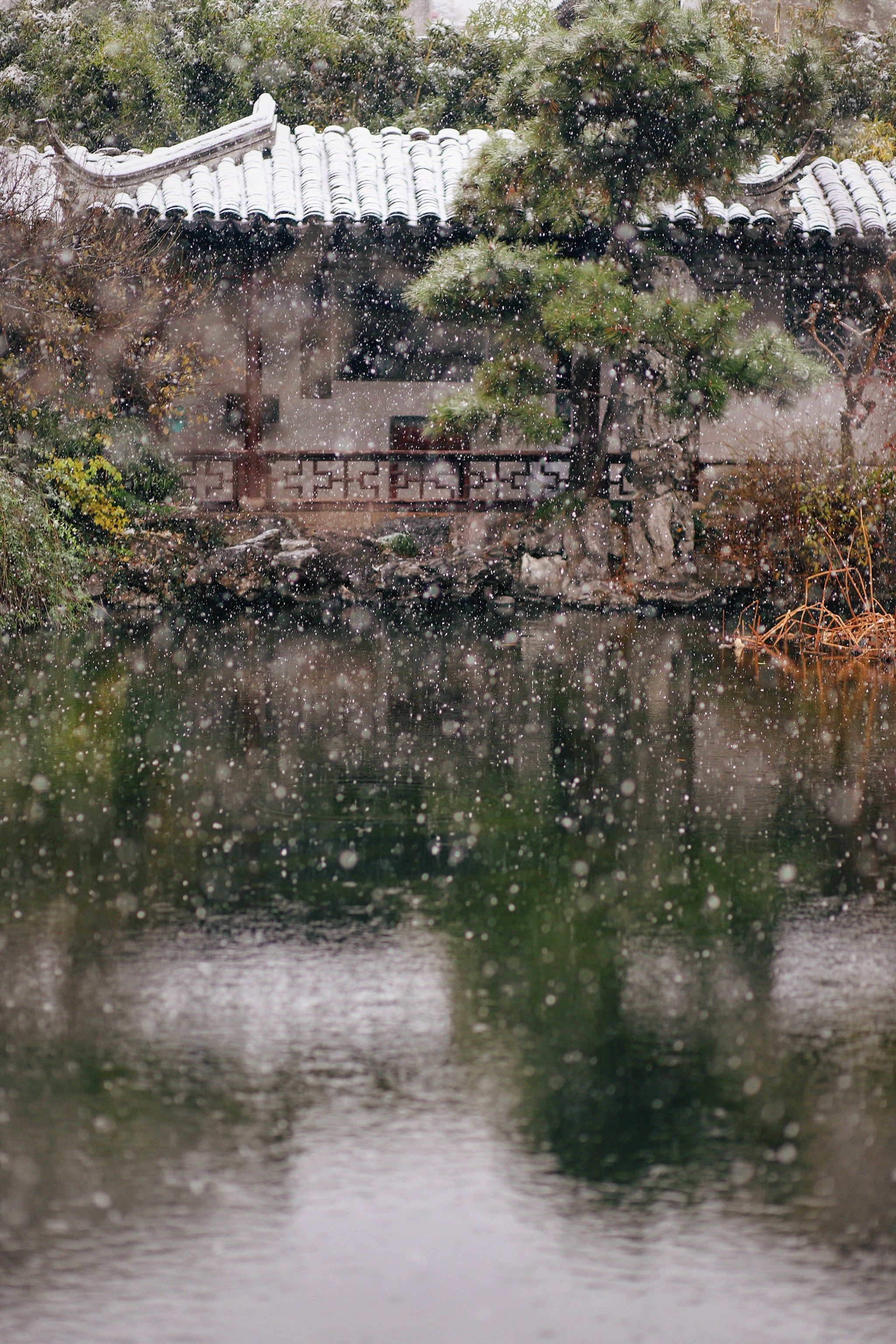 江南 新雪