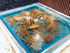 水产区-蟹将军·松叶蟹和牛日料放题自助(K11店)
