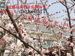 -国御温泉度假小镇