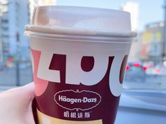 -哈根达斯(陆家浜路店)