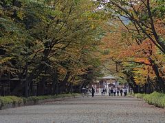 -北海道神宫