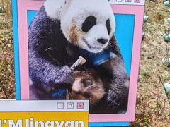 -栾川竹海野生动物园