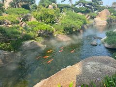 -罗红摄影艺术馆