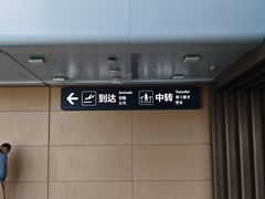 -青岛胶东国际机场