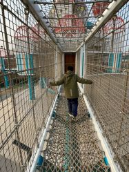 点击看大图 -季高兔窝窝亲子园(上海薰衣草公园店)