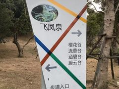 -飞凤山奥体公园