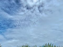 -云水谣景区