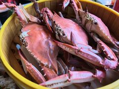 -必点海鲜·海肠捞饭(滨江道一店)