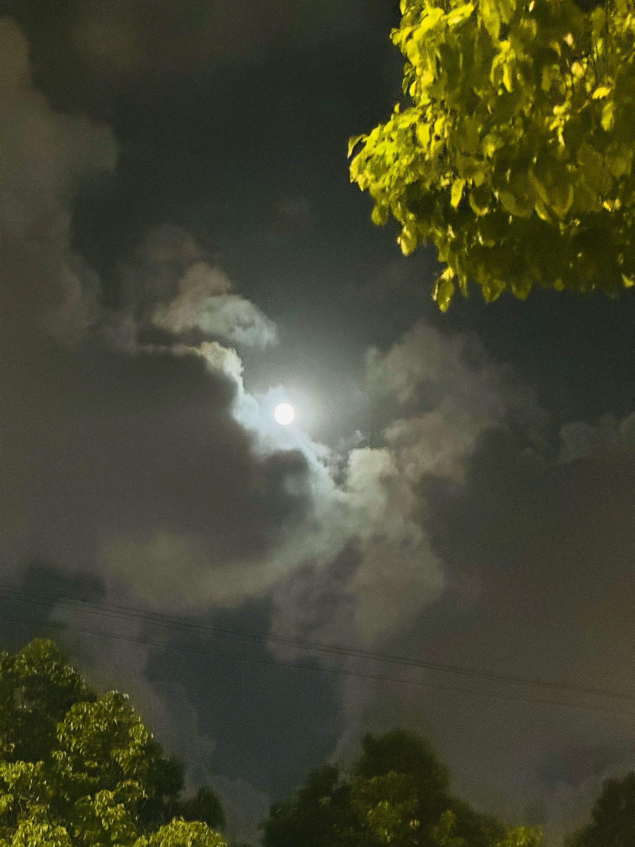 模拟芯片行业“深蹲起跳” 基金守得云开见月明开云体育- 开云体育官方网站- 开云体育APP 最新2025