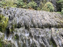 -梭布垭石林景区