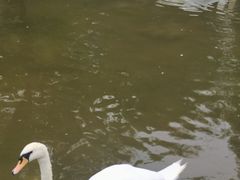 -森林公园(尖草坪区)