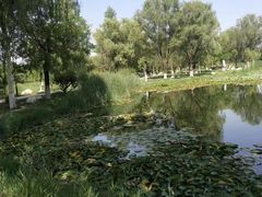 -西安浐灞国家湿地公园
