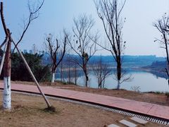 -金海湾滨江公园