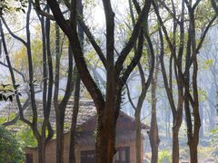 -杭州植物园