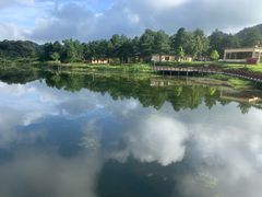 -海南热带雨林国家公园吊罗山景区
