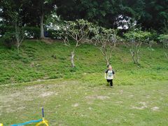 -风云岭森林公园