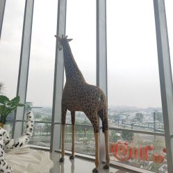 -IMON·HANSA潮玩玩偶毛绒玩具(通州万象汇店)