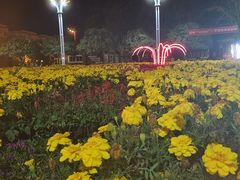 -洛龙公园
