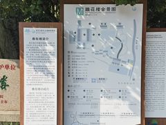 -东山雕花楼