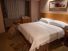 -维也纳酒店(成都春熙路李家沱地铁站店)
