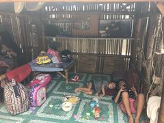 -Jungle Kitchen