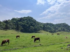 -山王坪喀斯特国家生态公园