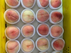 -老袁家蜜桃农场·阳山水蜜桃