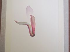 -八哥美术·成人美术画室(总校区)