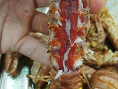 -蚝专家(北滘店)