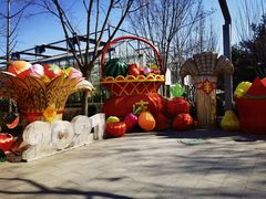 -南宫五洲植物乐园