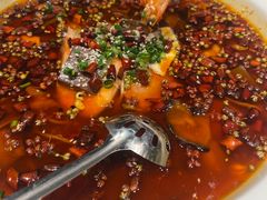 -鱼翅楼·津派砂锅鱼翅(水上公园店)
