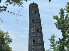 -上海佘山国家森林公园天马山园