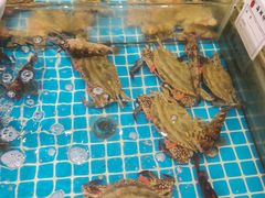 -木柴豆腐·活海鲜·鲁菜(岚山路店)
