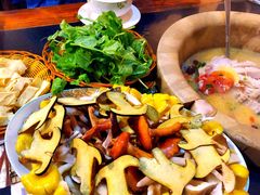 云南野生菌-抚仙湖生态石锅鱼野生菌(告庄店)